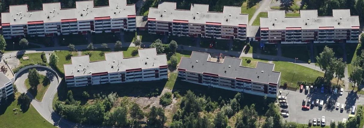 Bjørnebærstien